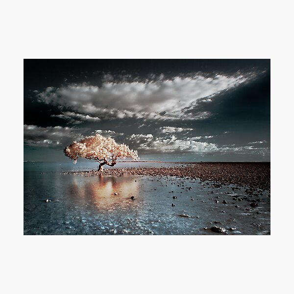 King Island Photographic Print