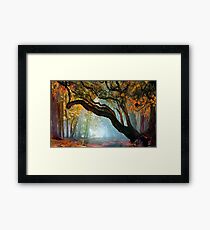 Seasonal Float Framed Print