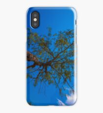 The tree under direct sunlight and blue sky iPhone Case