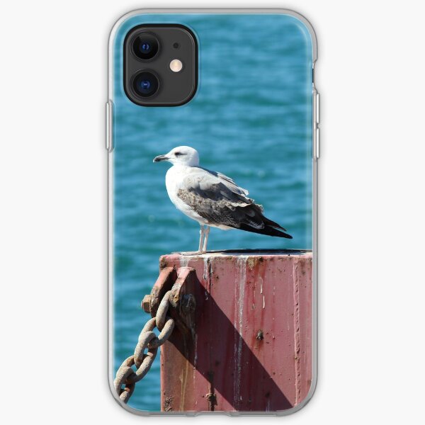 Hafenmöwe iPhone Flexible Hülle