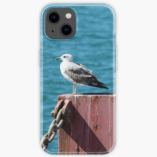 Hafenmöwe iPhone Flexible Hülle
