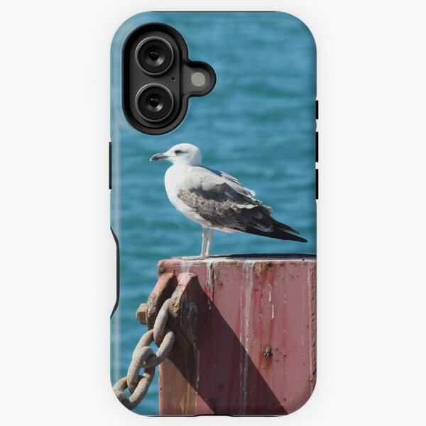 Hafenmöwe iPhone Robuste Hülle