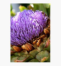 Artichoke Photographic Print