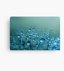 Blue Shower Canvas Print