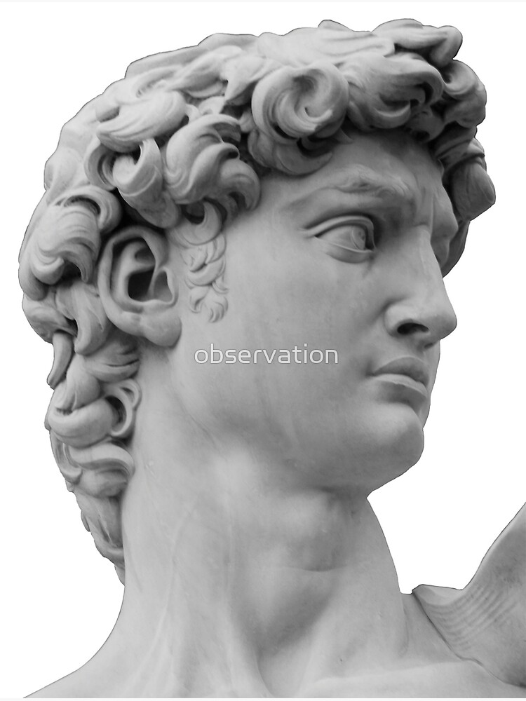 "David michelangelo" Poster for Sale by observation Redbubble