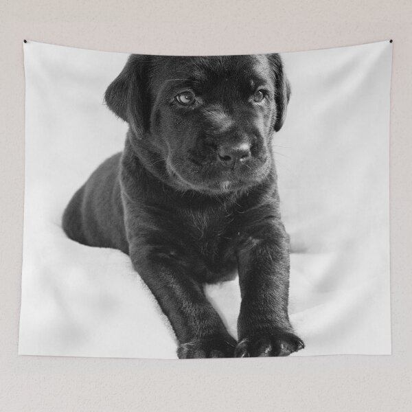 Item preview, Black  labrador puppy designed and sold by HaleyRedshaw.