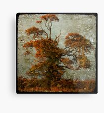 estampe tree Metal Print