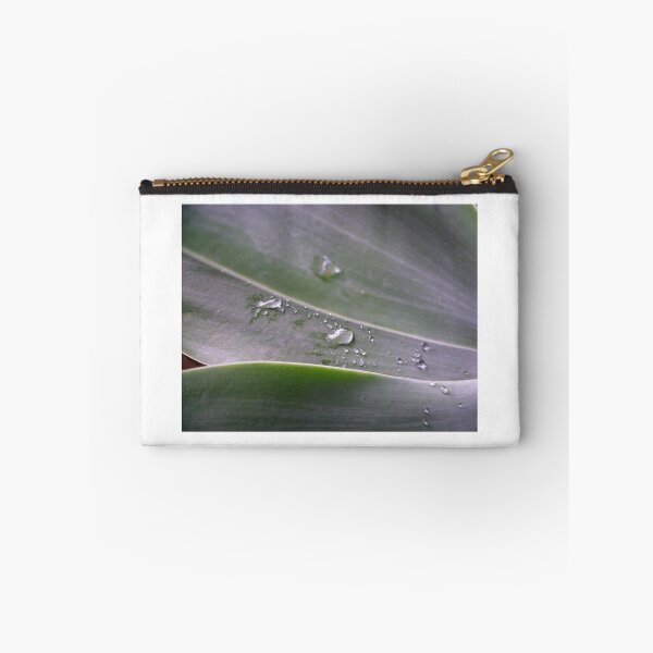 Item preview, Agave after Rain designed and sold by Rococo Dreams.