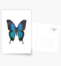 blue butterfly Postcards