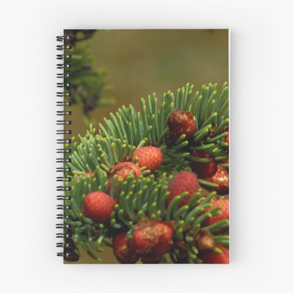 Item preview, Baby pine Cones designed and sold by Mike Cicero.
