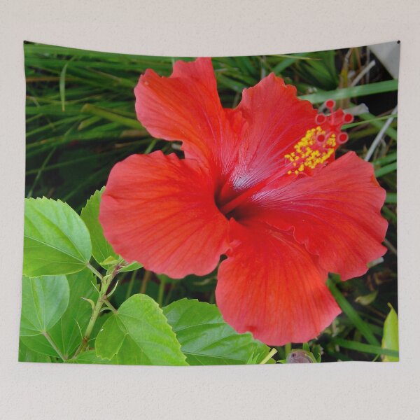 Item preview, Hibiscus  designed and sold by Asiantiger247.