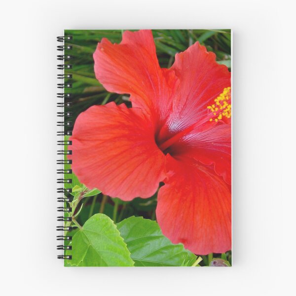 Item preview, Hibiscus  designed and sold by Asiantiger247.