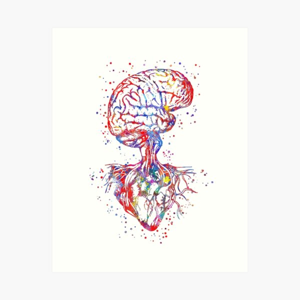 Item preview, Brain and heart, heart anatomy, medical art, heart anatomy designed and sold by Rosaliartbook.