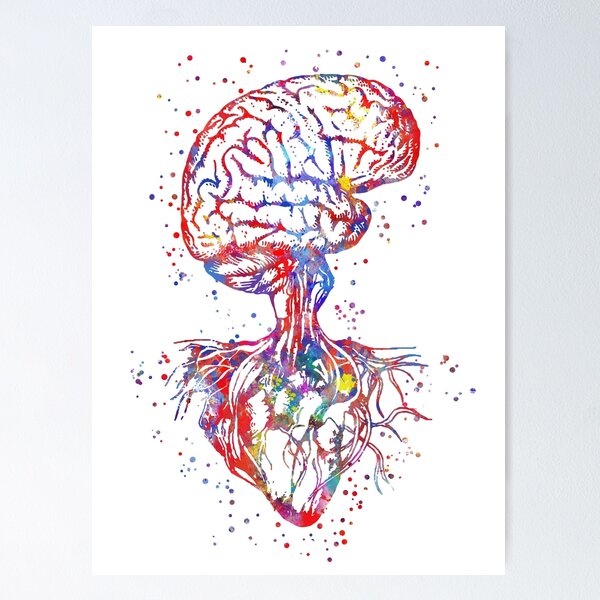 Heart and Brain Acrylic Block for Sale by Kristian Nicho