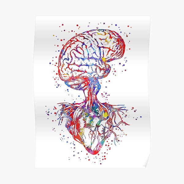 Cerveau et coeur, anatomie du coeur, art médical, anatomie cardiaque Poster