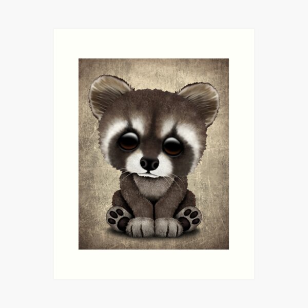 Babys First by Nemcor 3 Piece Infant Christmas Gift Set Raccoon Babys First by Nemcor 3 Piece Infant Christmas Gift Set Raccoon