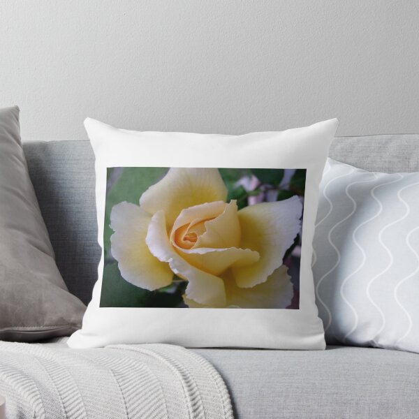 Aperçu de l'œuvre Apricot Rose créée et vendue par Rococo Dreams.