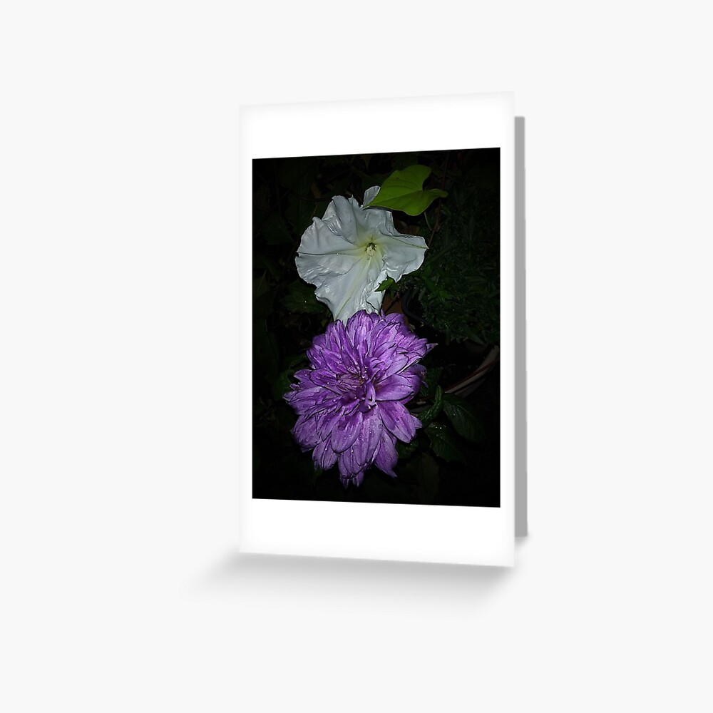 Dahlia and Moonflower Greeting Card