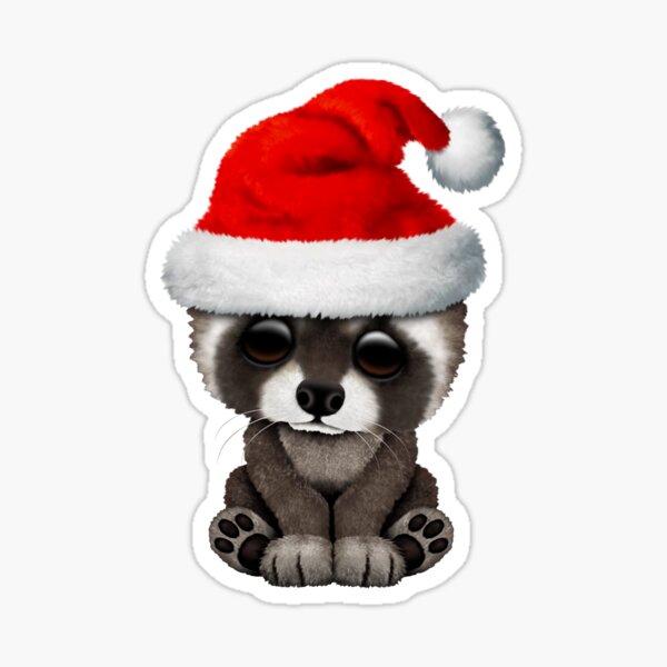 Raccoon Sticker Packs! — Tito the Raccoon