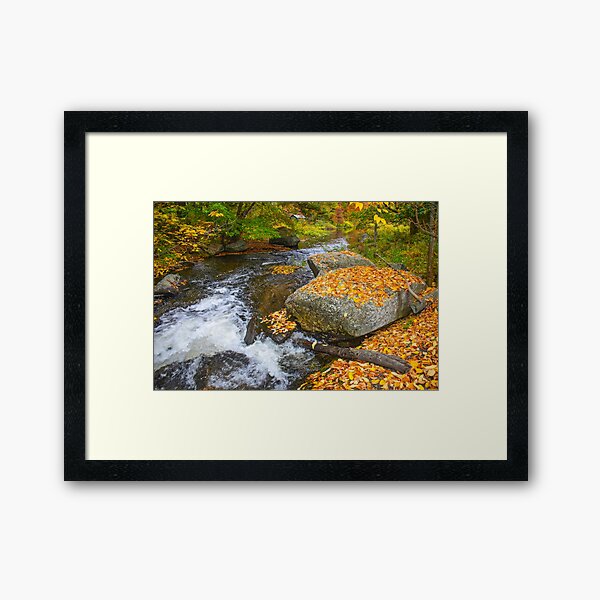Autumn Symphony Framed Art Print