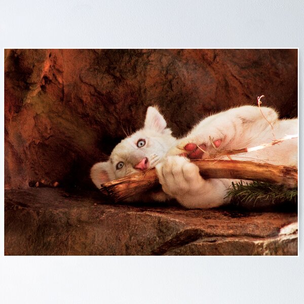 Item preview, Tiger - My Chew Toy designed and sold by Mike Savad Photography.