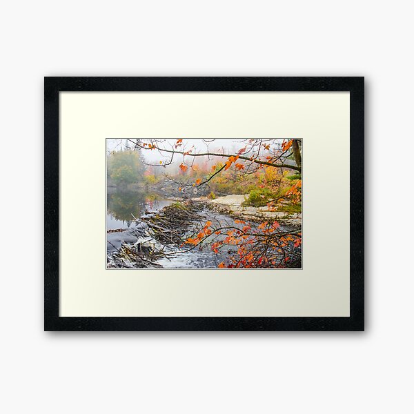 Beaver Dam Framed Art Print
