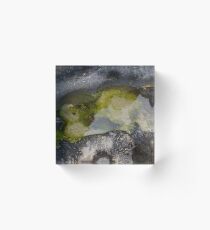 Rock Pool At Point Peron Acrylic Block