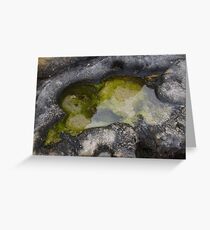 Rock Pool At Point Peron Greeting Card