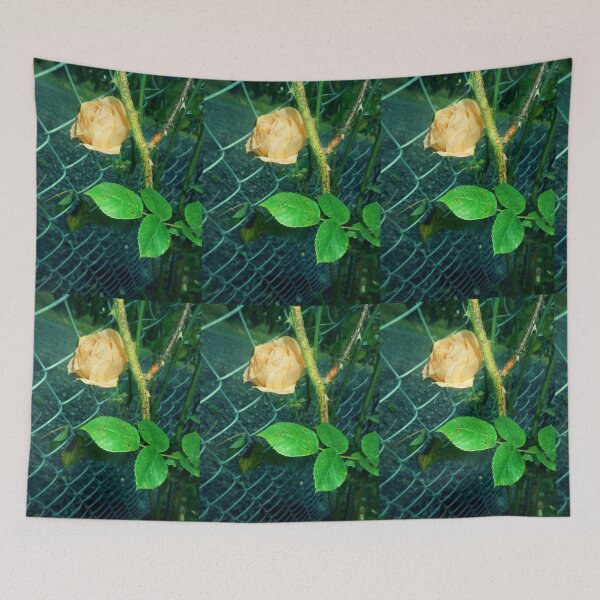Item preview, yellow rose on fence 10/01/18 designed and sold by Shellaqua.