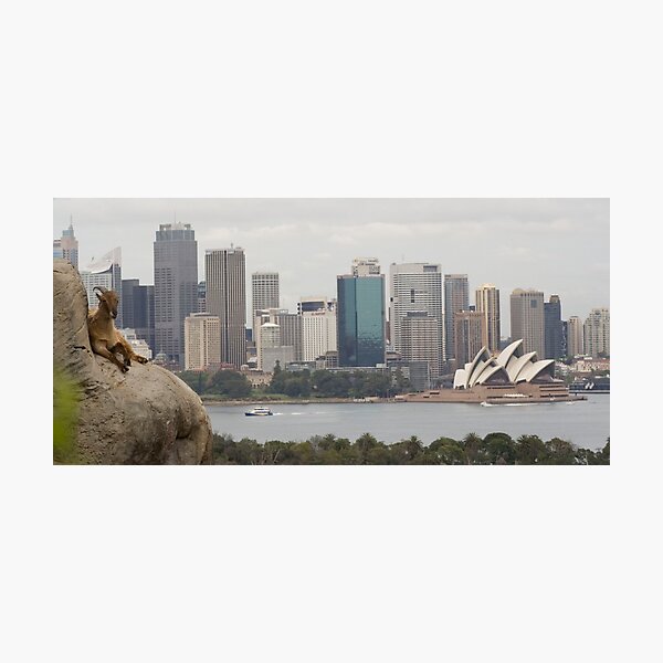 Item preview, Taronga Zoo View designed and sold by Kellea Croft.