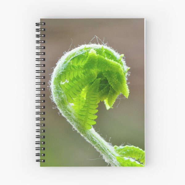 Item preview, Fern Frond designed and sold by Nancy Barrett.