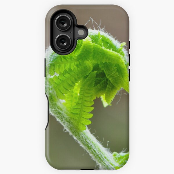 Item preview, Fern Frond designed and sold by Nancy Barrett.