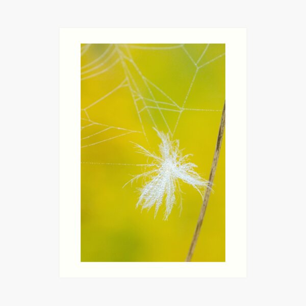 Caught Art Print