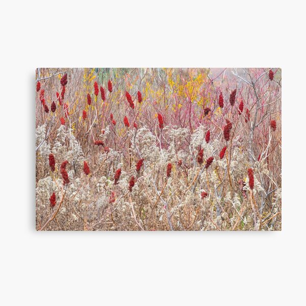 November Tapestry Canvas Print