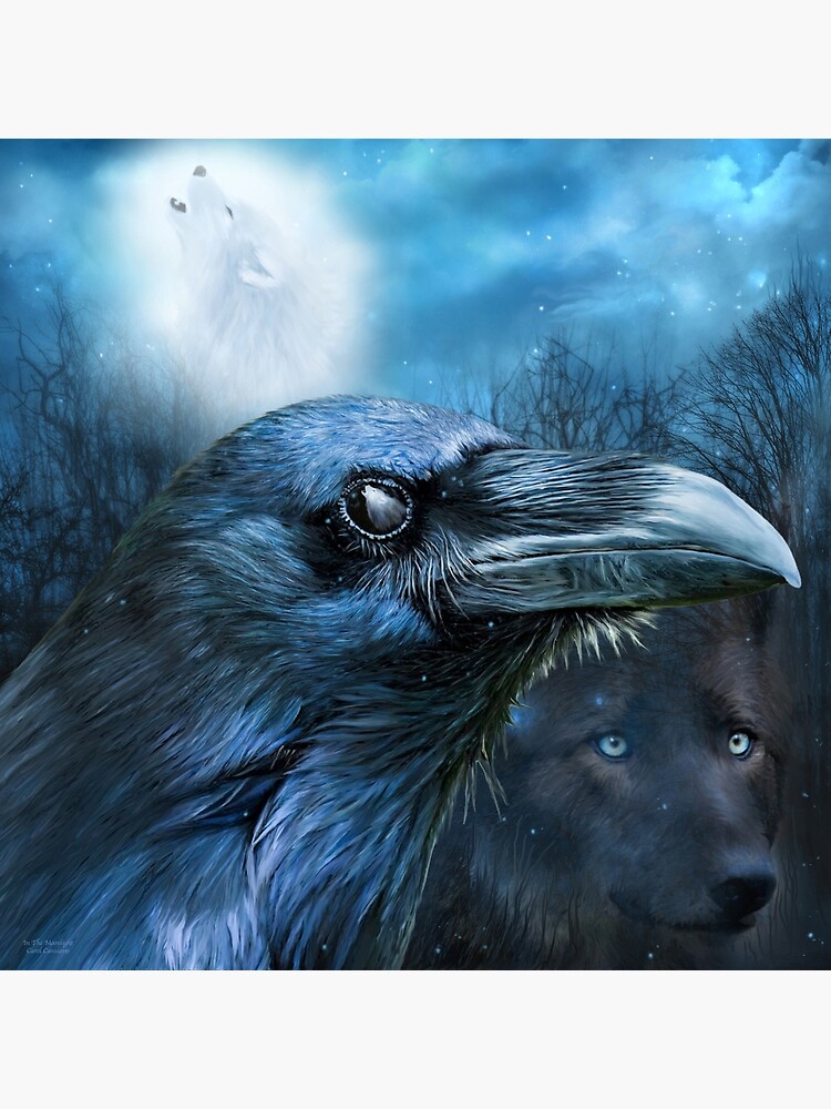 Raven and Wolf - In The Moonlight Art Board Print for Sale by Carol  Cavalaris