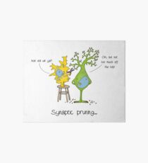 Rory Synaptic Pruning Art Board