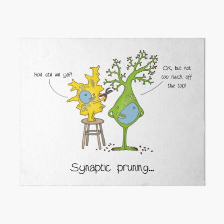Rory Synaptic Pruning Art Board Print
