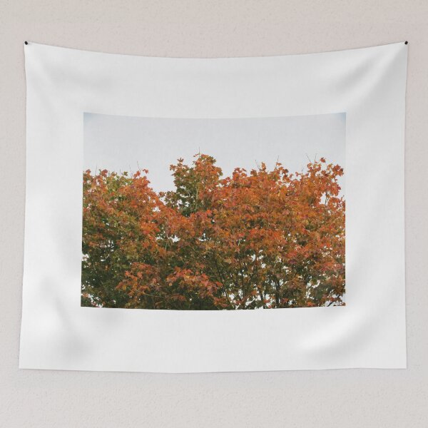 Item preview, Autumn Treetop designed and sold by lezvee.