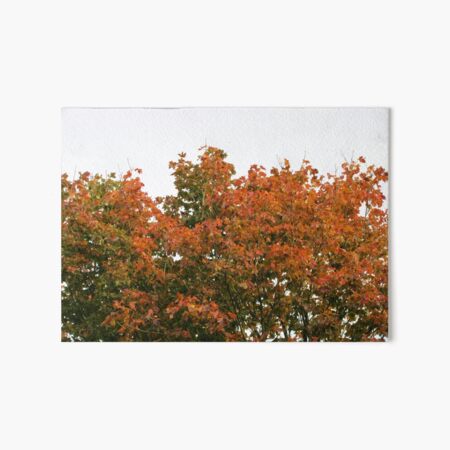 Item preview, Autumn Treetop designed and sold by lezvee.