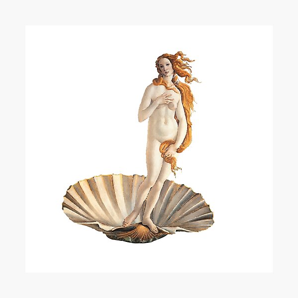 Ракушка у женщин