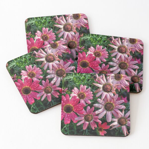 Item preview, Pink Asters designed and sold by The Rage Garden.