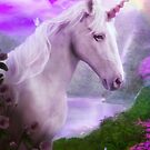 Dawn by Tanya Wheeler