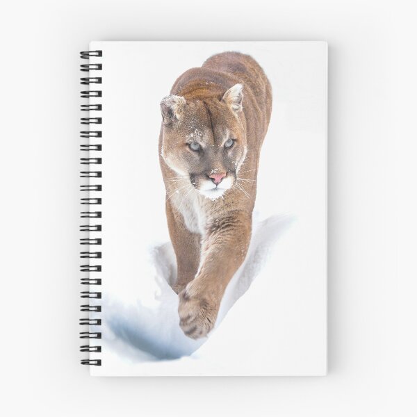 Item preview, Mountain Lion  designed and sold by Nancy Barrett.