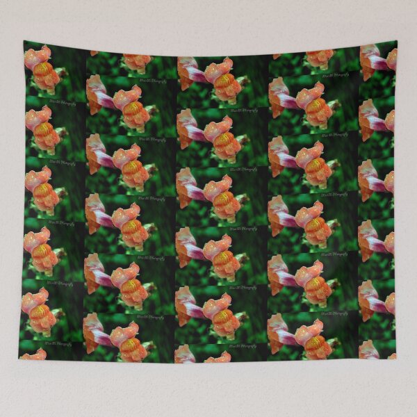 Item preview, Orange Snap designed and sold by MoreGoodArt.