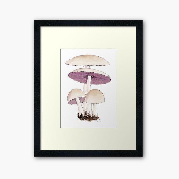 Item preview, Psathyrella candolliana by Kay Smith designed and sold by BiosecurityColl.