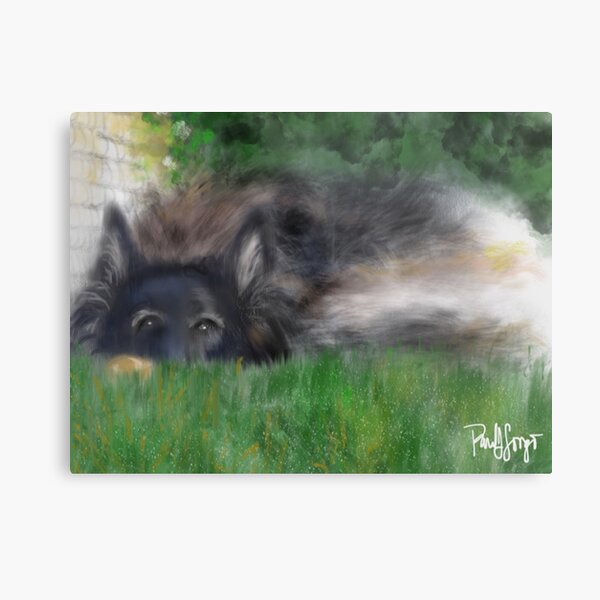 Cowboy and his toy Metal Print