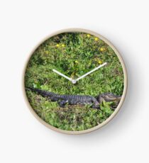 Alligator in the swamp with a big Smile! Clock