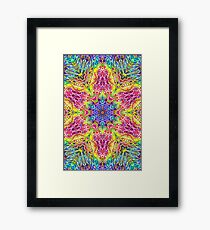 Kachinae Framed Print