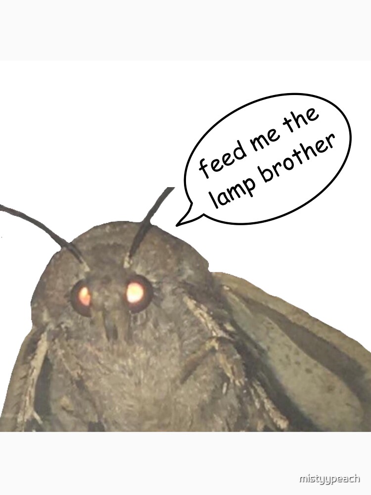 &quot;Moth Lamp Meme&quot; Tshirt by mistyypeach Redbubble