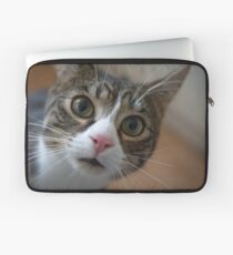 Cute Cat Laptop Sleeve